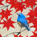 Susumu Maki Gallery